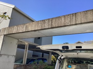 IMG_23061