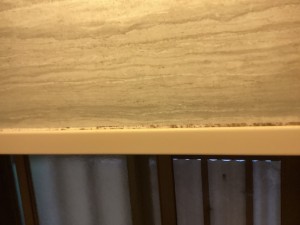 IMG_24351
