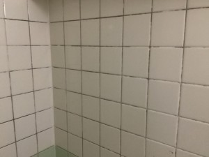 IMG_24972