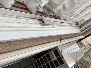 IMG_25191