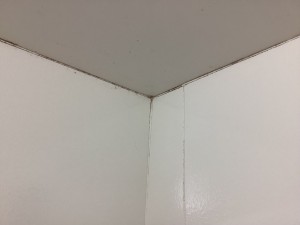 IMG_27451