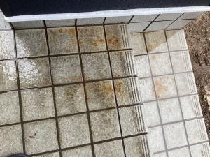 IMG_29781