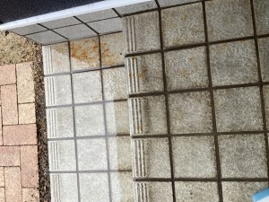 IMG_29791