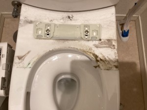 トイレ掃除