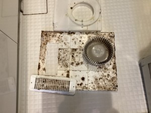 風呂そうじ