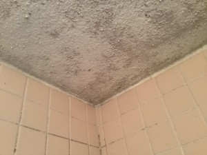IMG_37542