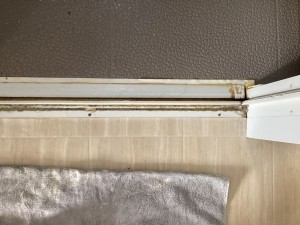 IMG_52261