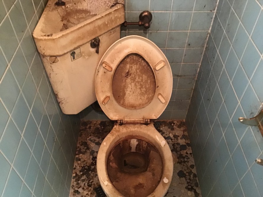 トイレ（人用）の尿石落とし 猫たちのブログ 楽天ブログ