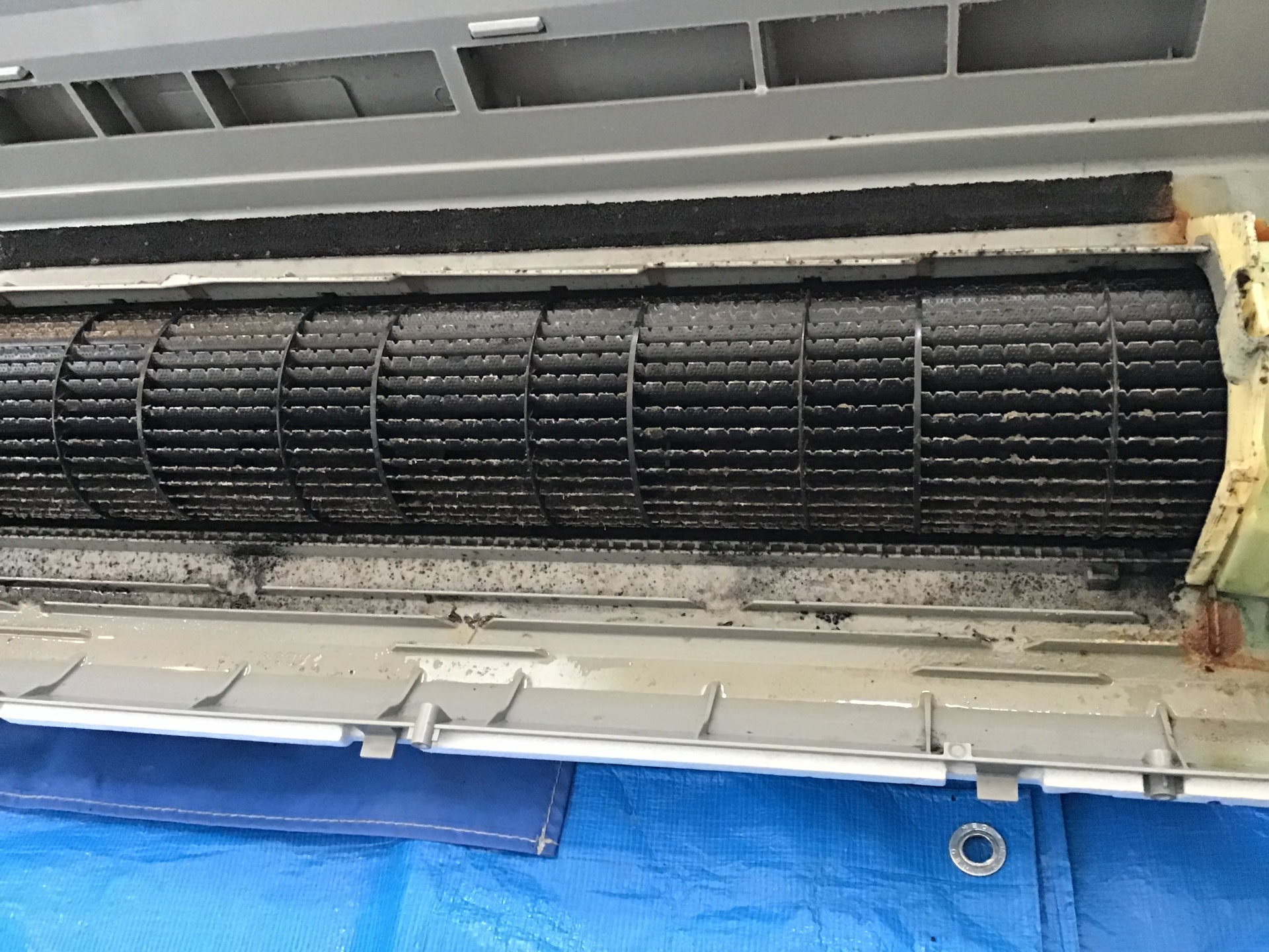 お取引終了】【室内機 分解クリーニング済】 DAIKIN ルーム