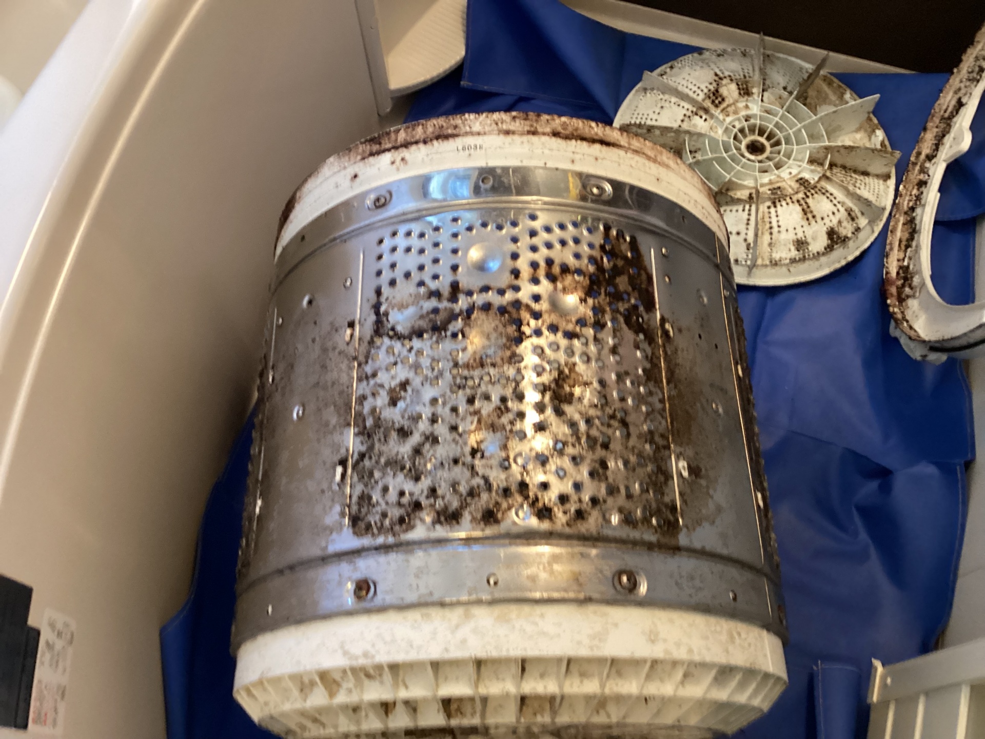 日立ビートウォッシュ洗濯機分解クリーニング｜おそうじ本舗和白店