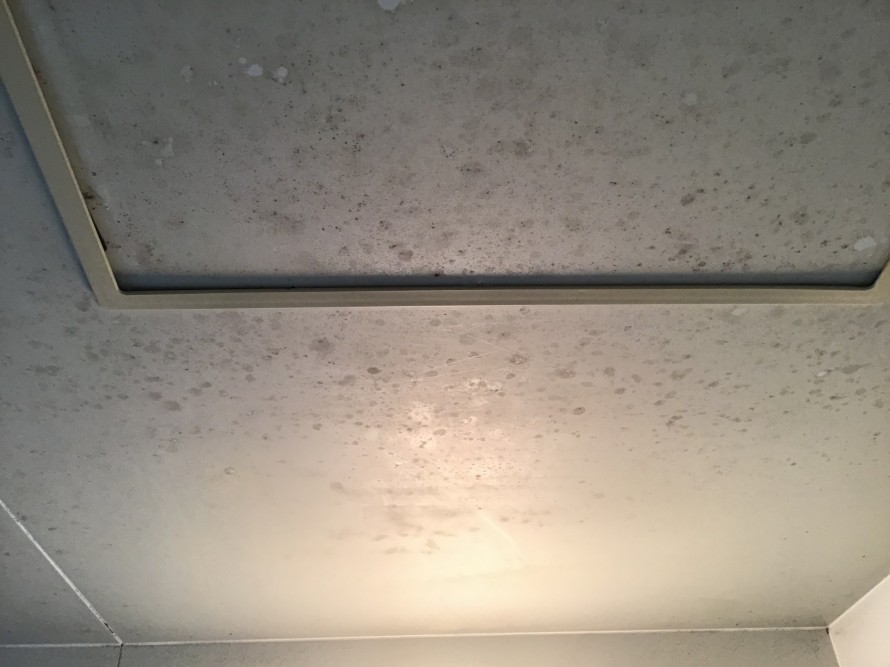 天井カビの浴室クリーニング